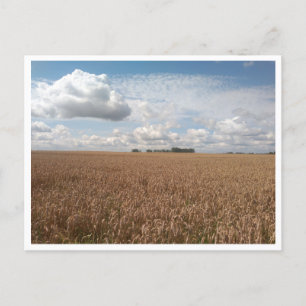 Puck (Poland) Postcard