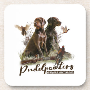 Pudelpointers, Hunting pheasant Coaster