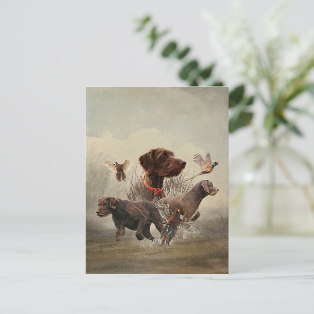 Pudelpointers, Hunting pheasant   Postcard (Standing Front)