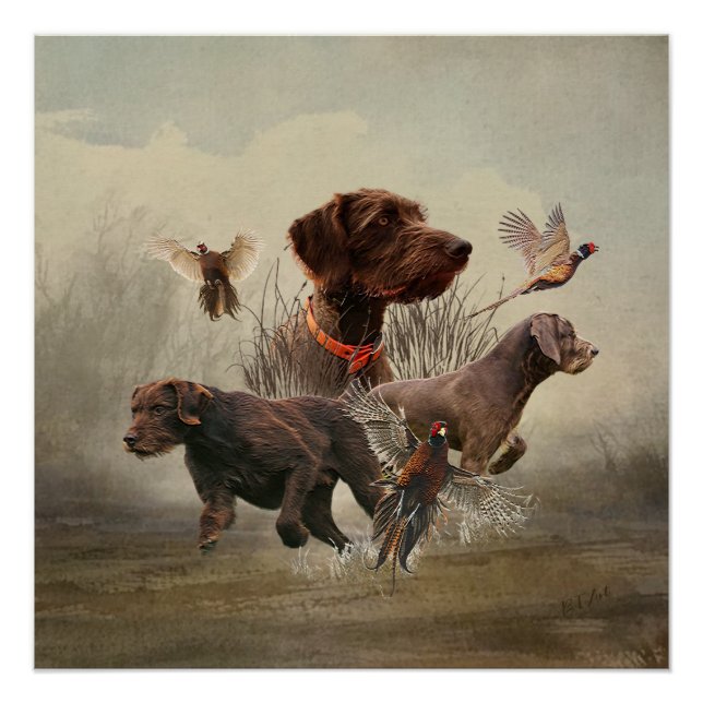 Pudelpointers, Hunting pheasant  Poster (Front)
