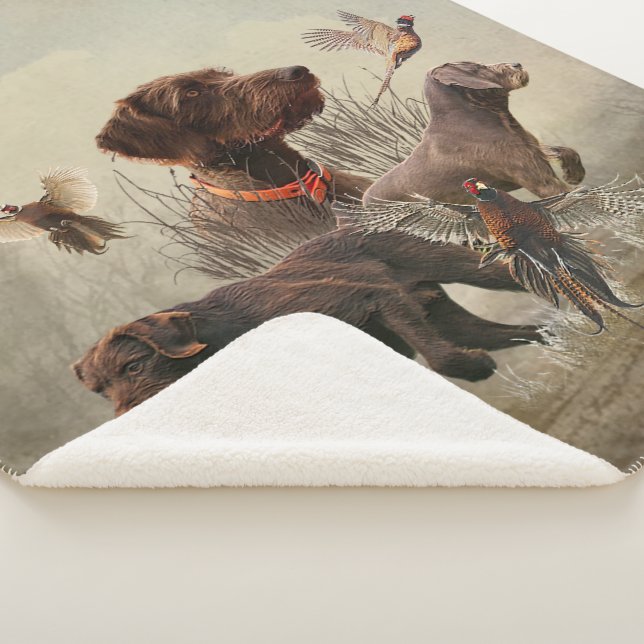 Pudelpointers, Hunting pheasant    Sherpa Blanket (3/4)