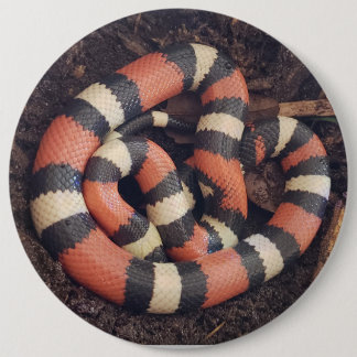 Pueblan Milk Snake 6 Cm Round Badge