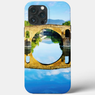 Puente La Reina iPhone 13 Pro Max Case