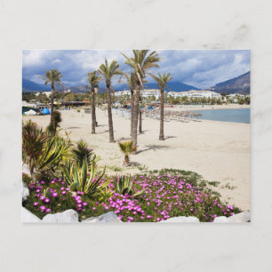 Puerto Banus Beach on Costa del Sol in Spain Postcard