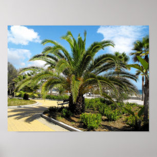 Puerto Banus gardens Poster