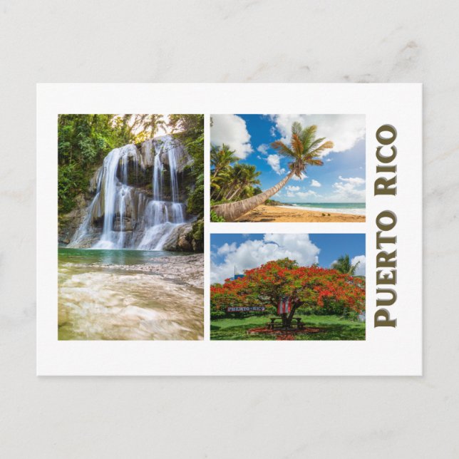 Puerto Rican nature Postcard (Front)