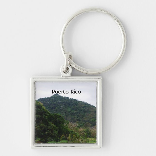 Puerto Rican Rainforest Key Ring (Front)
