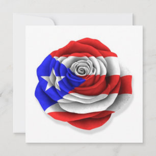 Puerto Rican Rose Flag on White
