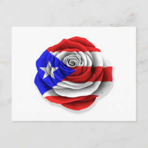 Puerto Rican Rose Flag on White Postcard