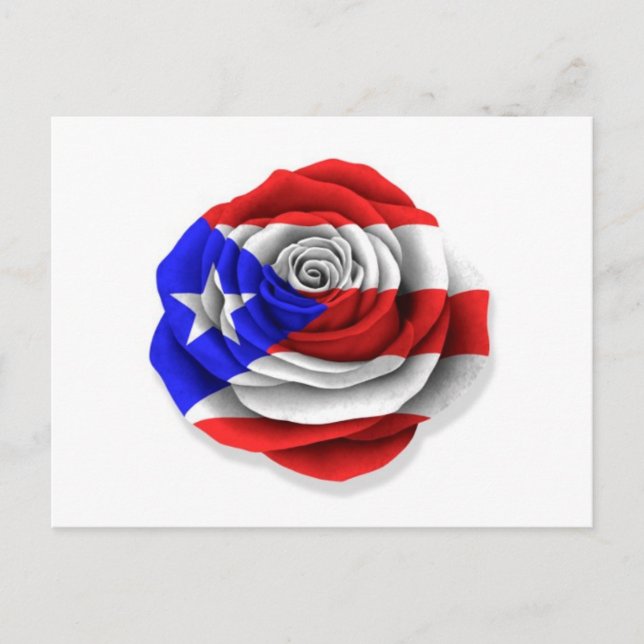 Puerto Rican Rose Flag on White Postcard (Front)