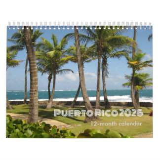 Puerto Rico 12 Months Calendar 2026