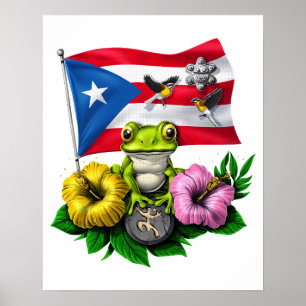 Puerto Rico Boricua Flag Poster