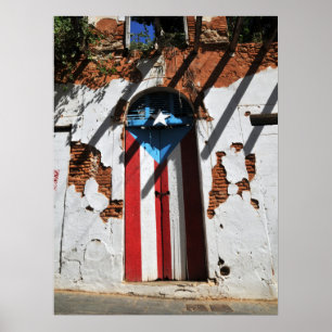 Puerto rico  colour flag poster