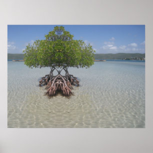 Puerto Rico Illusion Photo Poster