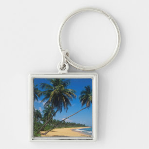 Puerto Rico, Isla Verde, palm trees. Key Ring