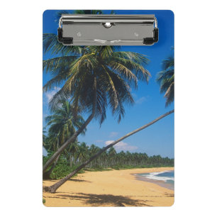 Puerto Rico, Isla Verde, palm trees Mini Clipboard