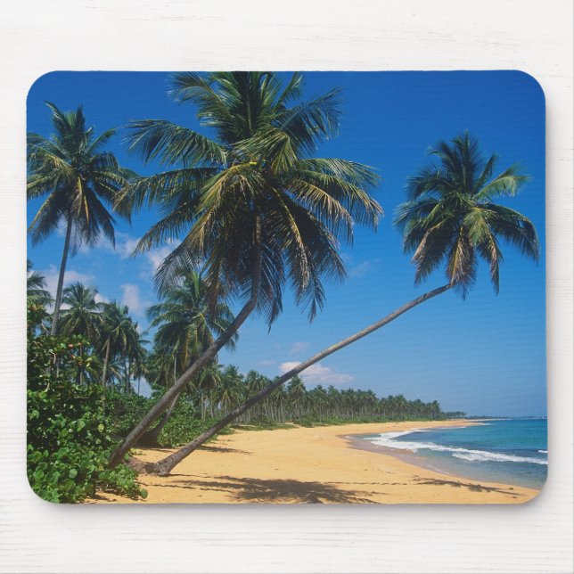 Puerto Rico, Isla Verde, palm trees. Mouse Mat (Front)