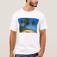 Puerto Rico, Isla Verde, palm trees.