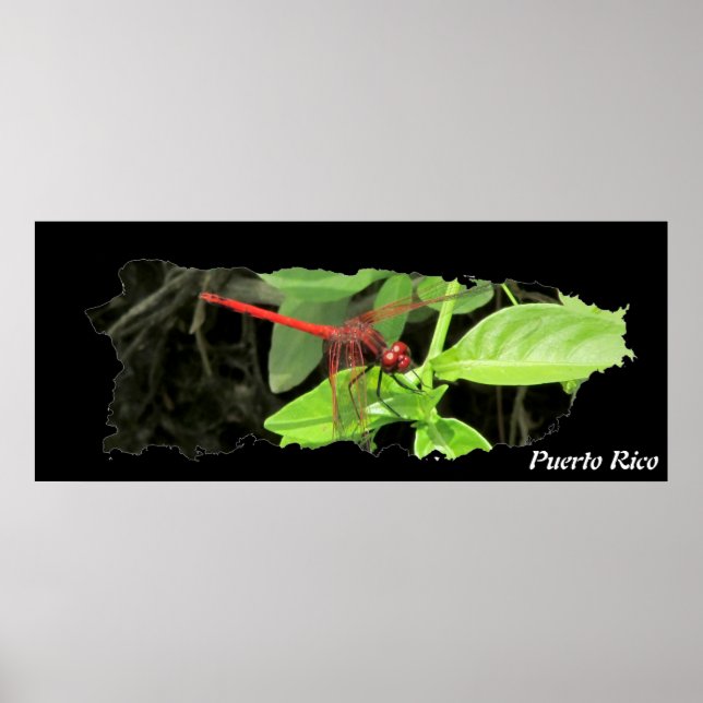 Puerto Rico Island Map Dragonfly Poster (Front)