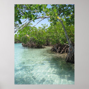 Puerto Rico Photo Poster