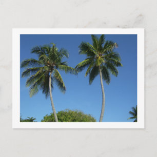 Puerto Rico Postcard