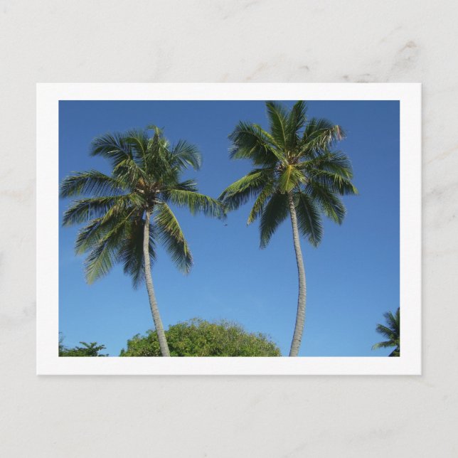 Puerto Rico Postcard (Front)