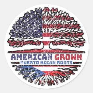Puerto Rico Puerto Rican US American USA United Classic Round Sticker