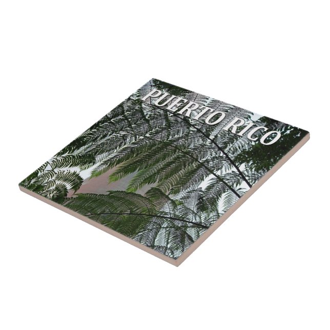 Puerto Rico Rainforest Tower Photo Souvenir Tile (Side)