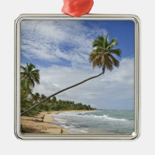 Puerto Rico. Tres Palmitas Beach Puerto Rico Metal Tree Decoration