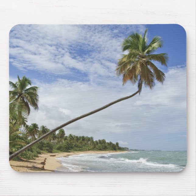 Puerto Rico. Tres Palmitas Beach Puerto Rico Mouse Mat (Front)