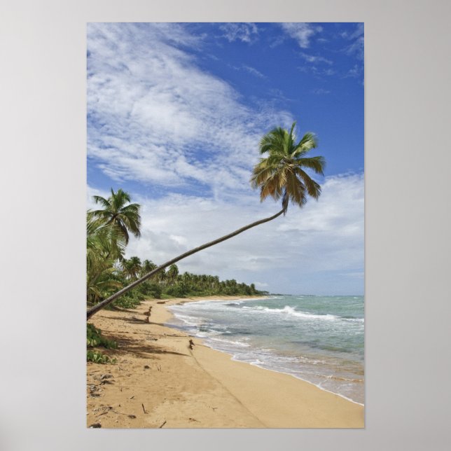 Puerto Rico. Tres Palmitas Beach Puerto Rico Poster (Front)