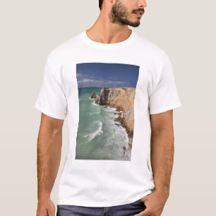 Puerto Rico, West Coast, Cabo Rojo, coastline T-Shirt