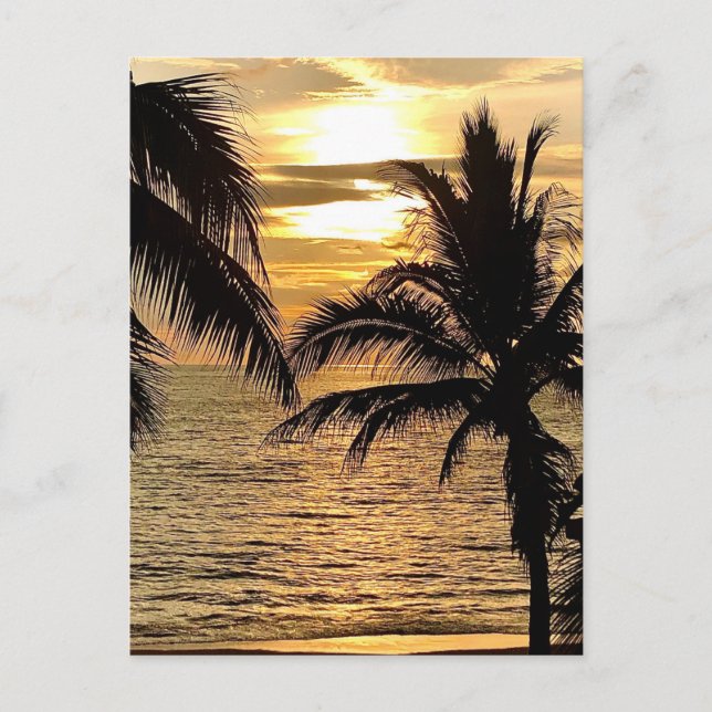 Puerto Vallarta Golden Summer Sunset Postcard (Front)