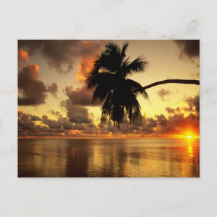 Puerto Vallarta Postcard