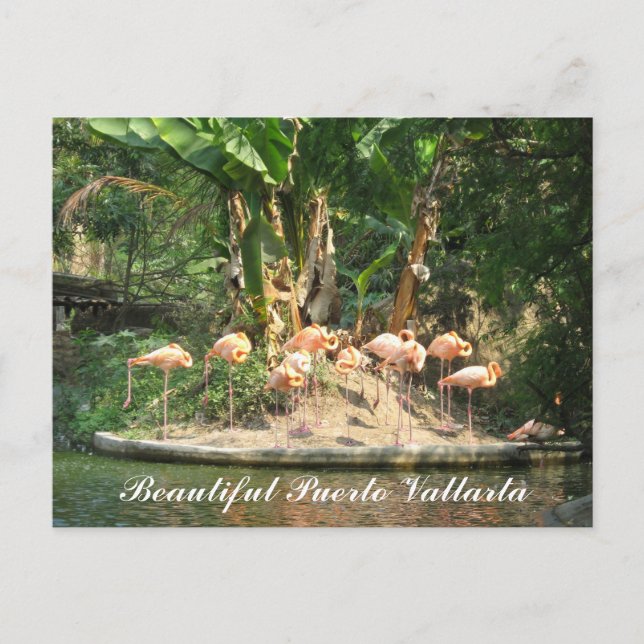 Puerto Vallarta Postcard (Front)