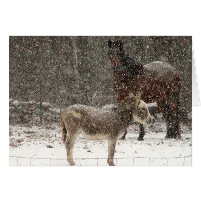 Puff & Twist (Front Horizontal)