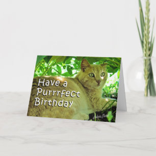 Puff Under the Peonies Card