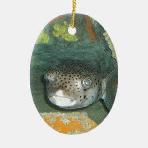 Puffer Fish Ceramic Tree Decoration