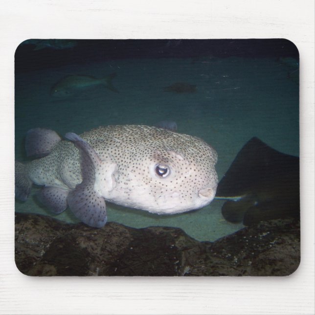 Puffer fish mousepad (Front)