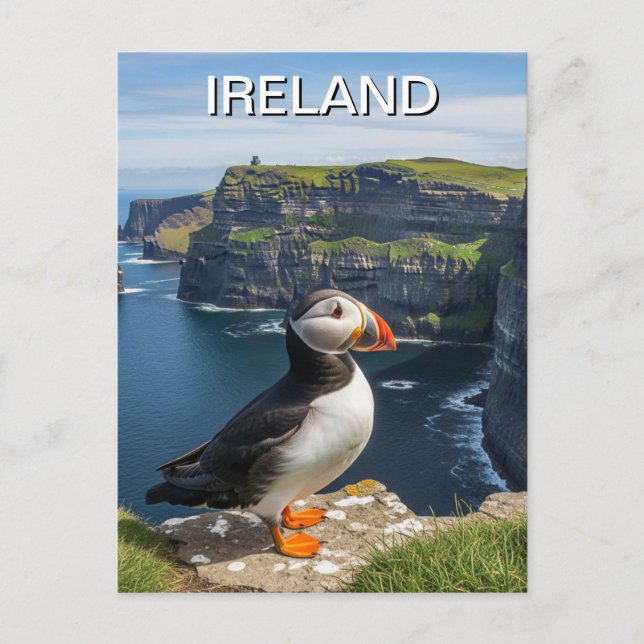 Puffin at Cliffs of Moher Ireland Travel Postcard (Front)