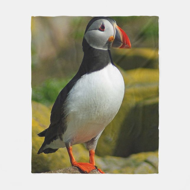 Puffin Bird Fleece Blanket (Front)