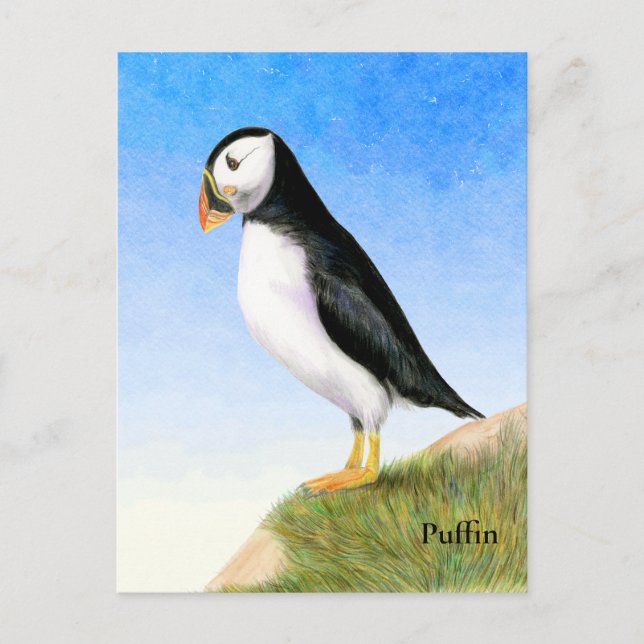 Puffin Bird Watercolor Painting Postcard (Front)