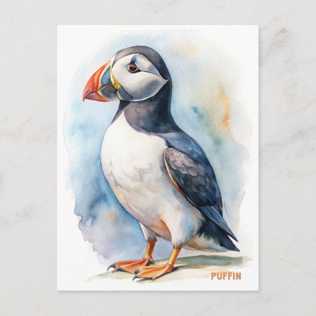 Puffin bird watercolor painting postcard (Front)