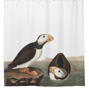 Puffin Birds Audubon Wildlife Shower Curtain