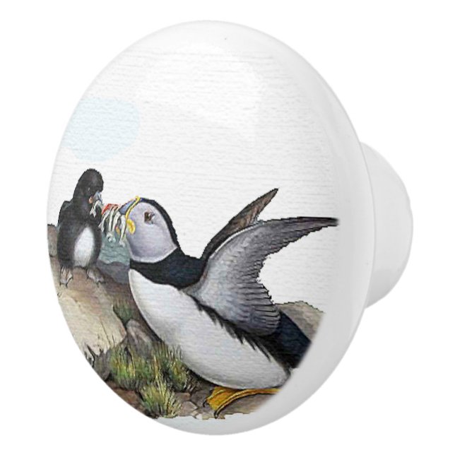Puffin Birds Baby Wildlife Animals Family Knob (Right)