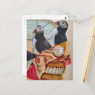 Puffin Birds on the Brain Surreal mixed media Postcard