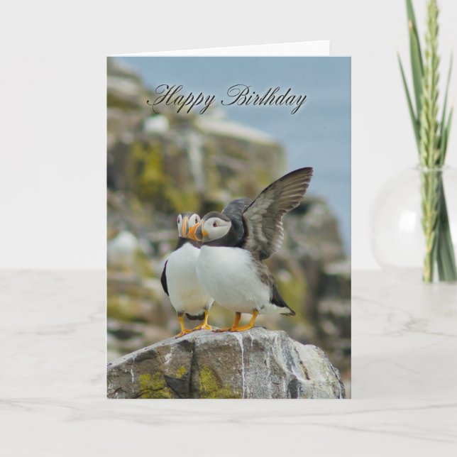 Puffin Birthday Greeting Card (Front)