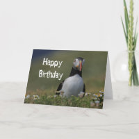 Puffin Birthday Greetings