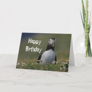 Puffin Birthday Greetings Card