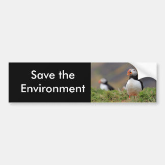 Puffin Bumper Sticker
